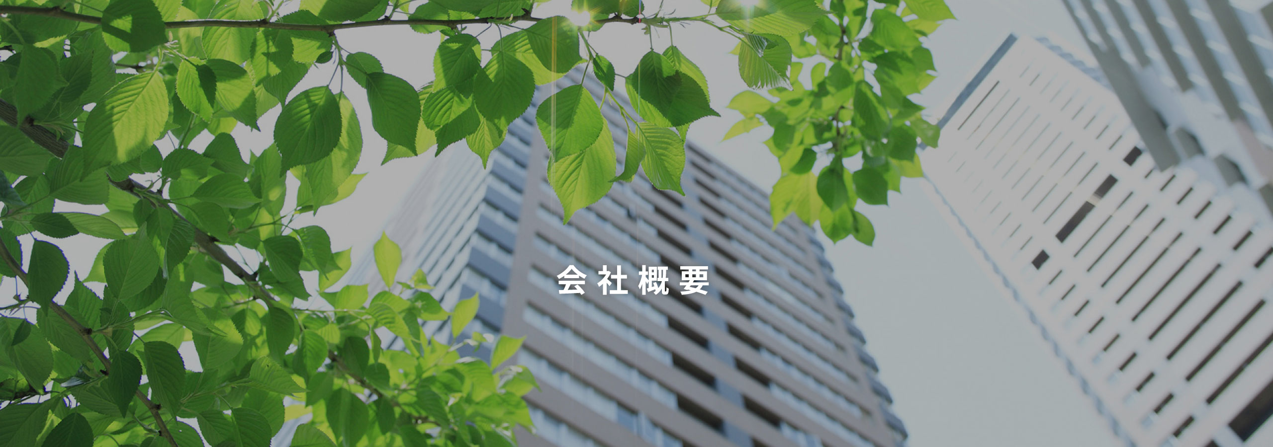 会社概要